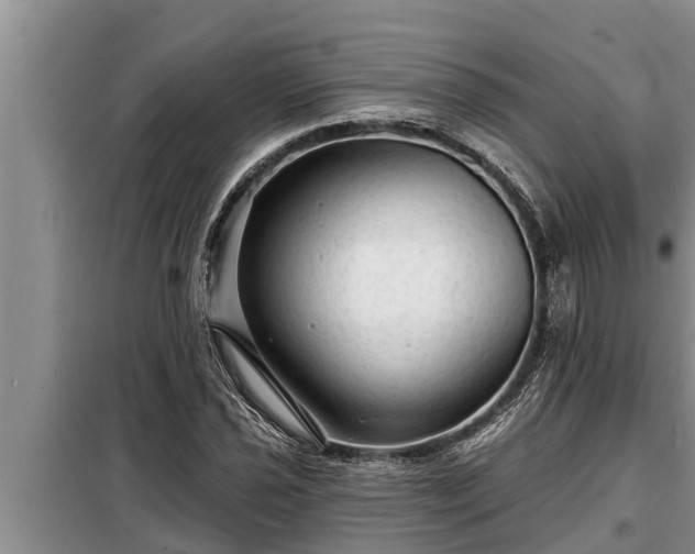 X0000098171021200805011009