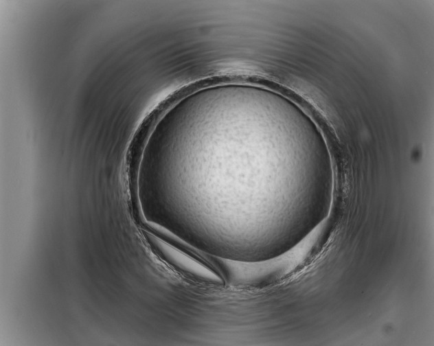 X0000098171022200805011009