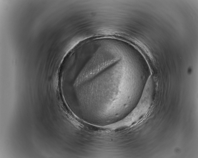 X0000098171023200805011009