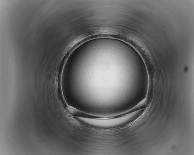 X0000098171025200805011009