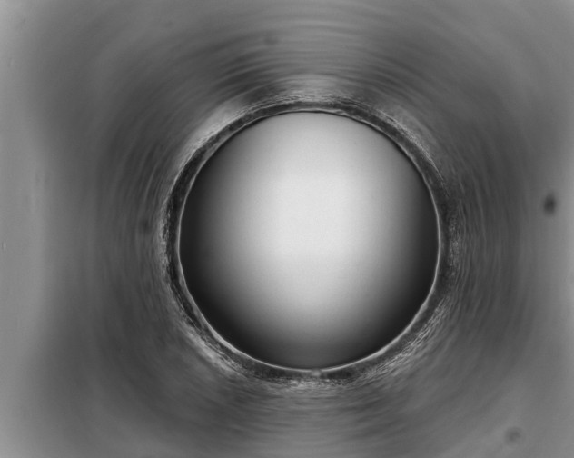 X0000098171026200805011009