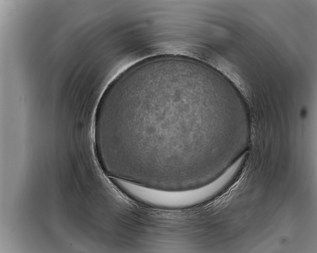 X0000098171028200805011009