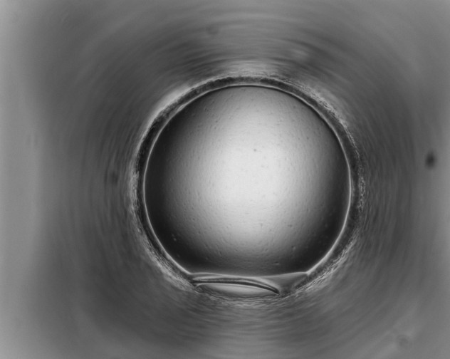 X0000098171029200805011009