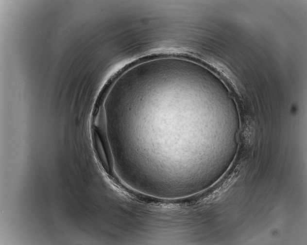 X0000098171030200805011009