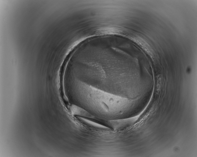 X0000098171031200805011009