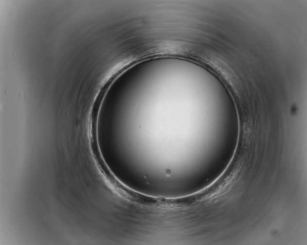 X0000098171034200805011009