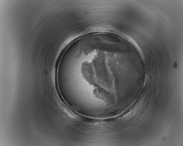 X0000098171035200805011009