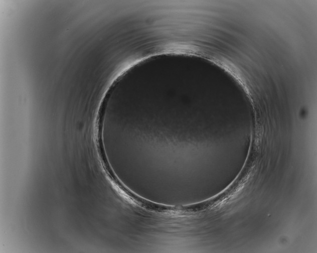 X0000098171037200805011009