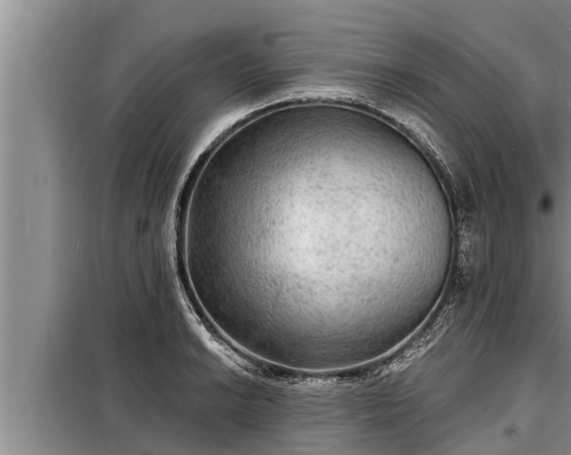 X0000098171038200805011009