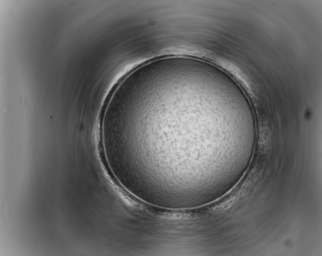 X0000098171040200805011009