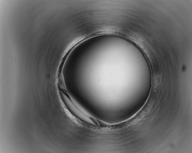 X0000098171042200805011009