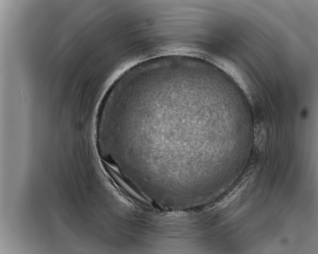 X0000098171043200805011009