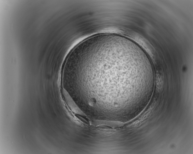 X0000098171044200805011009