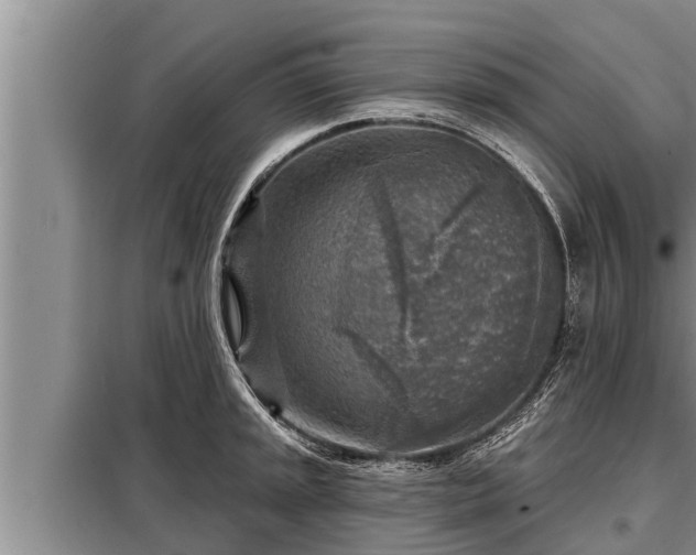 X0000098171045200805011009