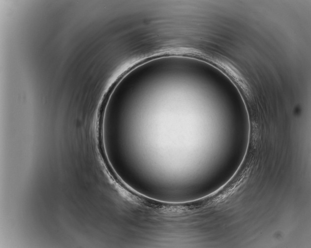 X0000098171046200805011009