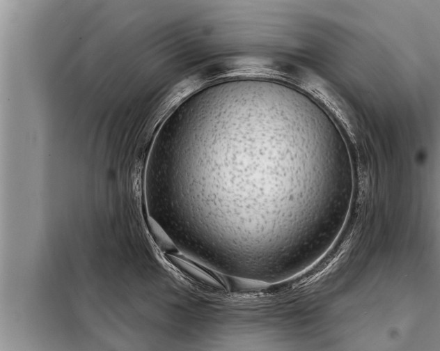 X0000098171049200805011009