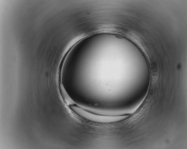 X0000098171050200805011009