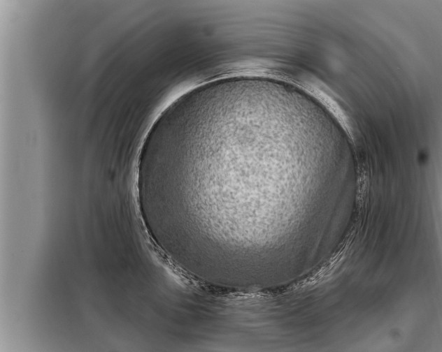 X0000098171051200805011009