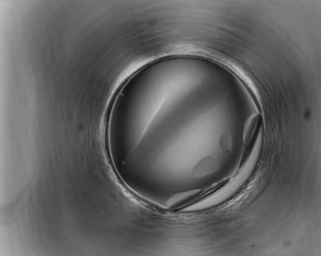 X0000098171053200805011009