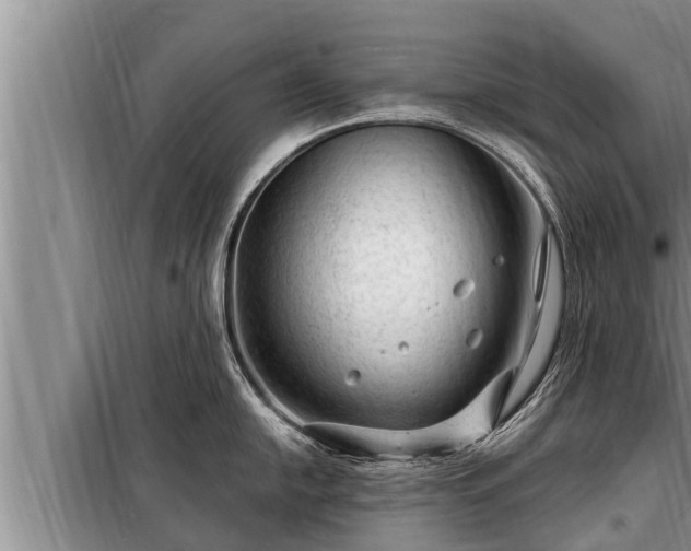 X0000098171054200805011009