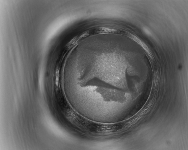 X0000098171055200805011009