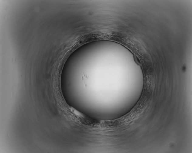 X0000098171057200805011009