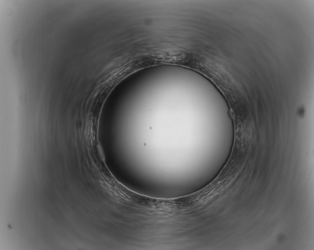 X0000098171058200805011009