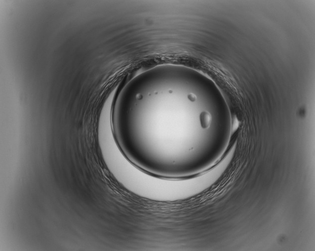 X0000098171060200805011009