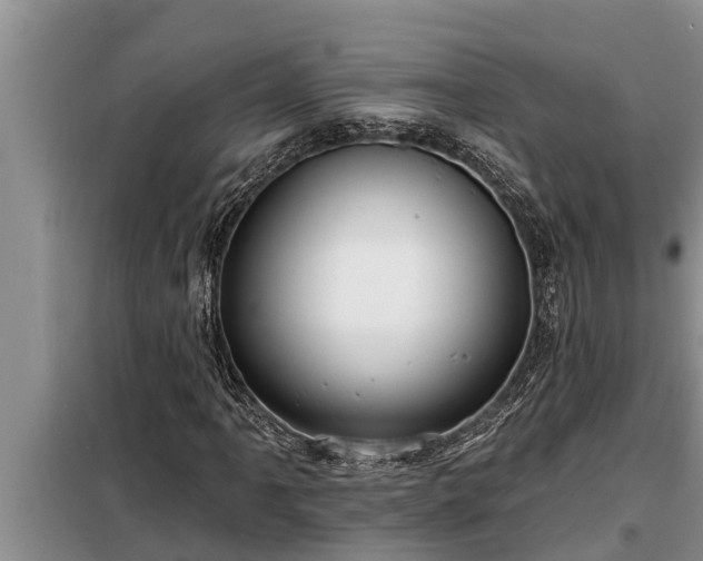 X0000098171061200805011009