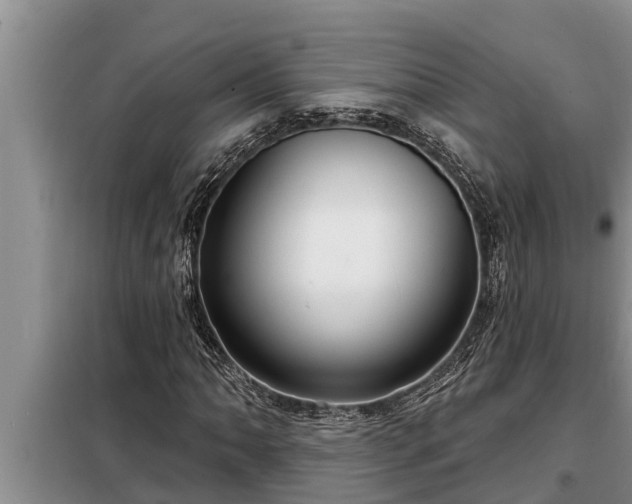 X0000098171062200805011009