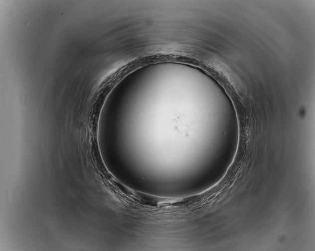 X0000098171064200805011008