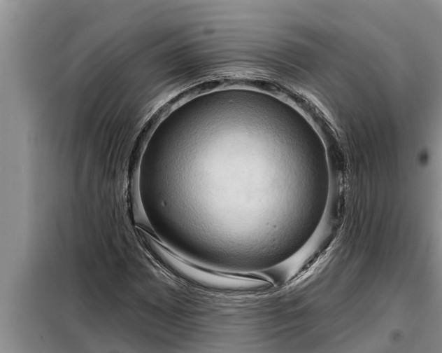 X0000098171065200805011008