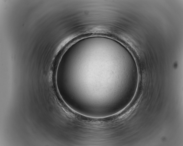 X0000098171066200805011008