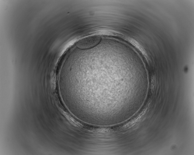 X0000098171067200805011008