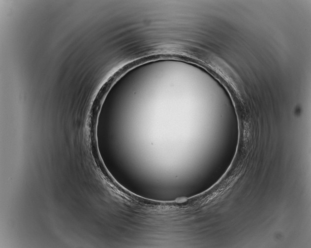 X0000098171068200805011008