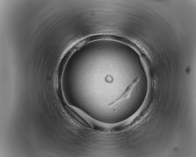 X0000098171069200805011008