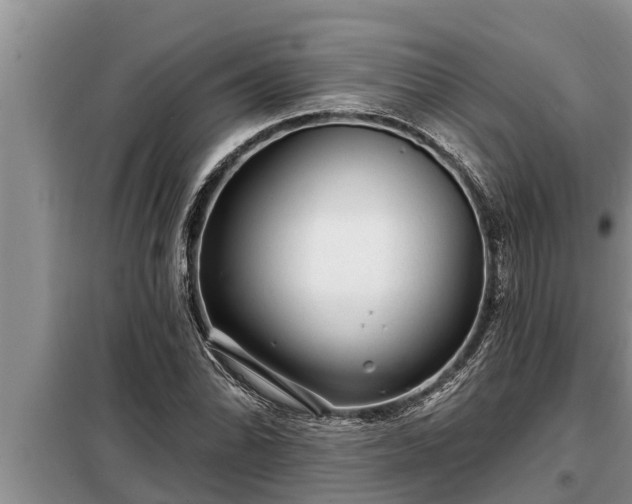 X0000098171070200805011008