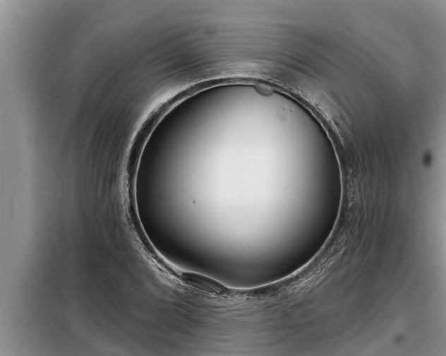 X0000098171072200805011008