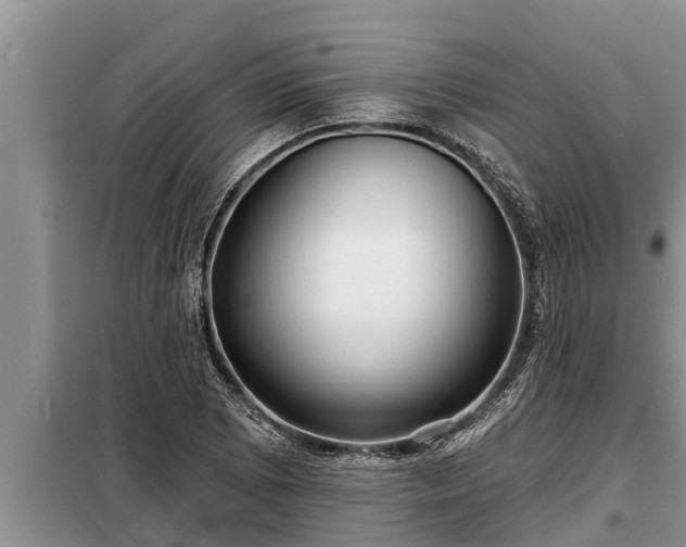 X0000098171073200805011008