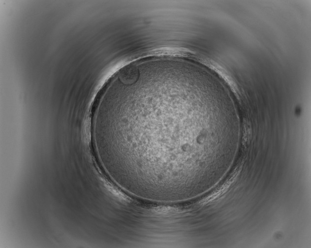 X0000098171075200805011008