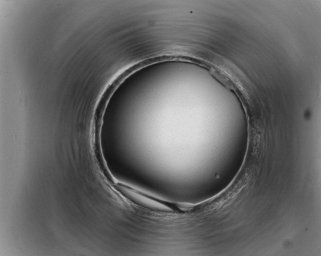 X0000098171076200805011008