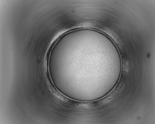 X0000098171078200805011008