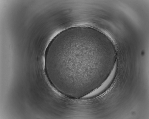 X0000098171079200805011008