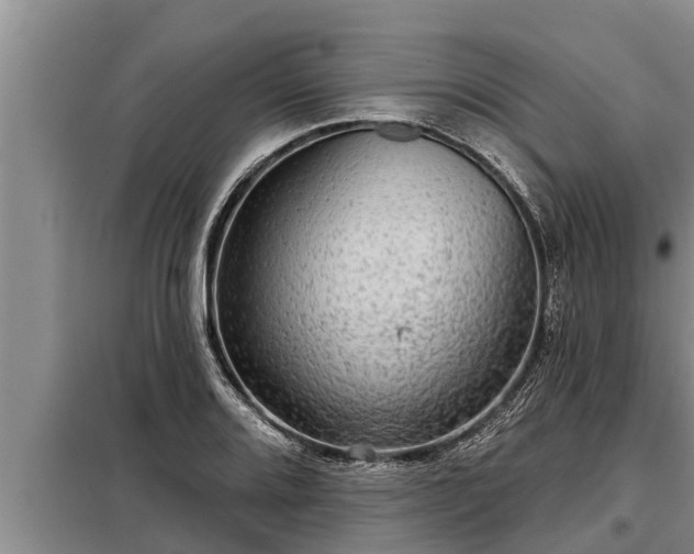 X0000098171080200805011008