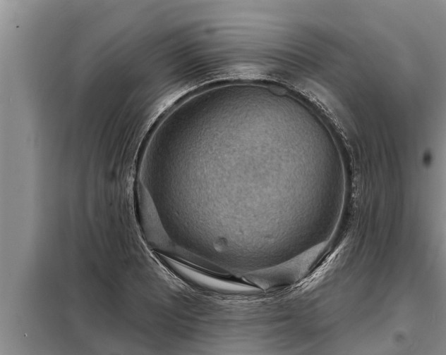 X0000098171081200805011008