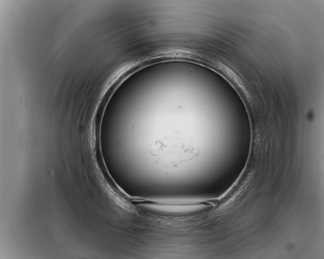 X0000098171082200805011008