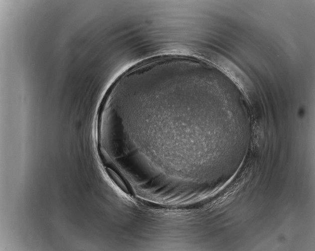 X0000098171084200805011008