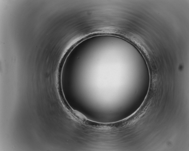 X0000098171085200805011008