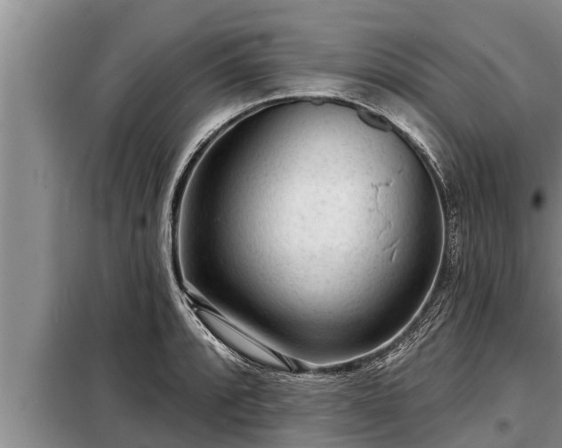 X0000098171088200805011008