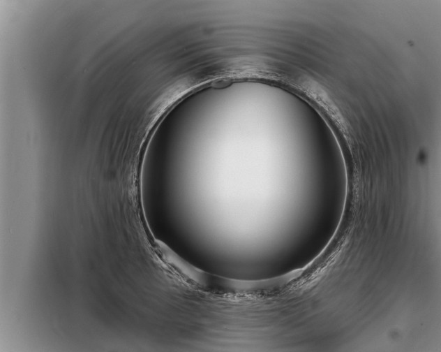 X0000098171089200805011008